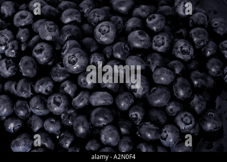 Heidelbeeren Stockfoto