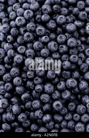 Heidelbeeren Stockfoto