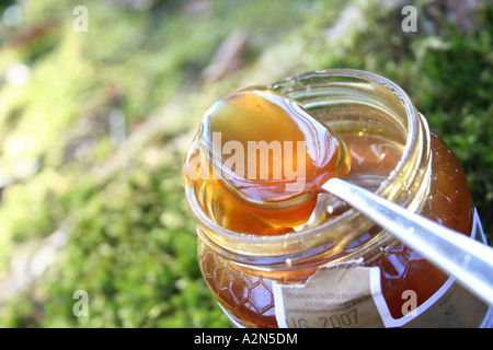 Nahaufnahme der Löffel im Glas Honig Stockfoto