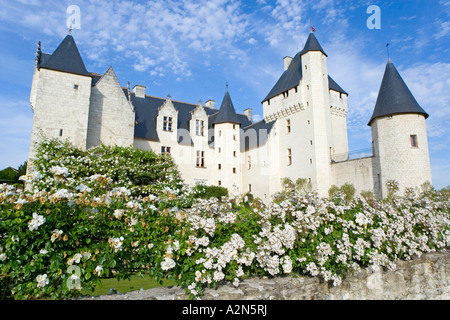 Blumen blühen vor dem Schloss, Chateau Du Schlosses, Indre-Et-Loire, Frankreich Stockfoto