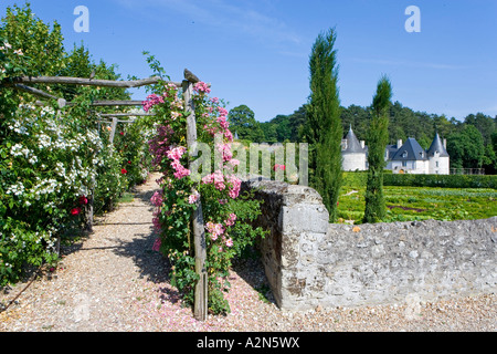 Garten vor dem Schloss, Chateau De La Chatonniere, Indre-Et-Loire, Frankreich Stockfoto