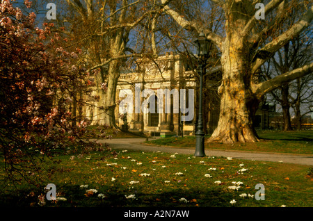 Bäume im Park, Bruhl Terrasse, Dresden, Sachsen, Deutschland Stockfoto