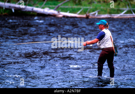 Frau Fliegenfischen Fluss in Watvögel und Angeln Weste USA Stockfoto