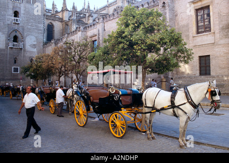 Pferdekutsche Kutsche vor der Kathedrale, die Kathedrale von Sevilla, Andalusien, Spanien Stockfoto