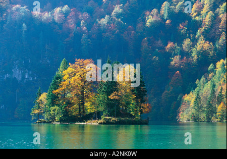 Bäume auf der kleinen Insel im See, Info, Berchtesgaden, Bayern, Deutschland Stockfoto