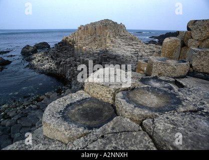 Riesen Basaltsäulen an der Küste, Riese, Giants Causeway, Antrim, Nordirland Stockfoto