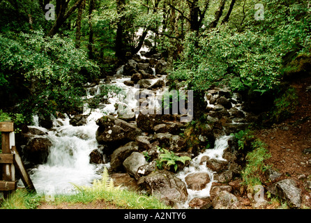 Wasserfall Glen Nevis Stockfoto