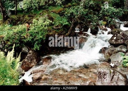 Kleiner Wasserfall Glen Nevis Stockfoto