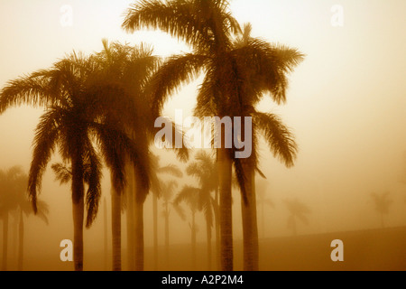 Nebel Nebel fehlt Ansicht Hurrikan-Katastrophe eine Naturkatastrophe Wetter unglaubliche Aussicht unendlich endlos Wasser Straße große Stockfoto