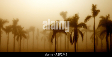 Nebel Nebel fehlt Ansicht Hurrikan-Katastrophe eine Naturkatastrophe Wetter unglaubliche Aussicht unendlich endlos Wasser Straße große Stockfoto