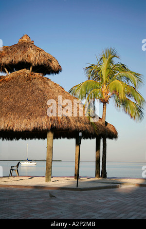 Marriott Hotel Tauchen Wasser sport unglaubliche Aussicht unendlich endlos Wasser Straße große Wasser Amerika Amerika Strand Strände Stockfoto