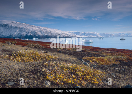 herbstliche Tundra-Landschaft am Harefjord, Grönland, Ostgroenland, Tunu, Scoresbysund, Kap Hofmann Halvo Stockfoto