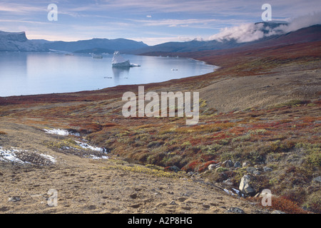 herbstliche Tundra-Landschaft am Harefjord, Grönland, Ostgroenland, Tunu, Scoresbysund, Kap Hofmann Halvo Stockfoto