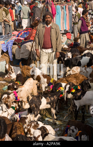 Indien-Delhi Alt Delhi Jamia Masjid Eid al Adha moslemische Festival Mann Opfer Ziegen zu verkaufen Stockfoto