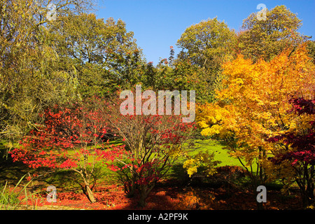 Herbst Farbe in Glossop im Peak District in Derbyshire Stockfoto