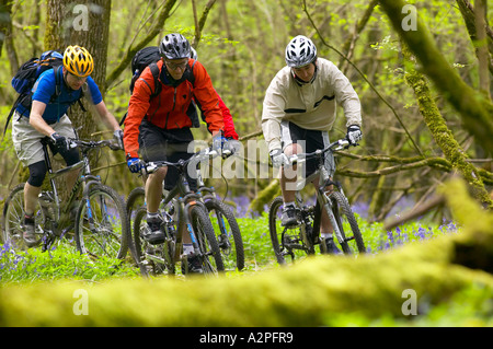 Vier Männer reiten Mountain-Bikes in Wald Stockfoto