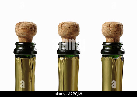 Champagne-Flaschen mit Korken, nebeneinander, top-Abschnitt, weißer Hintergrund, Flaschenhals Stockfoto