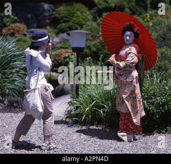 Mädchen in Maiko Lehrling Kostüm Geisha im japanischen Garten des Gion Kyoto-Seins fotografiert von Touristen beim tragen kimono Stockfoto