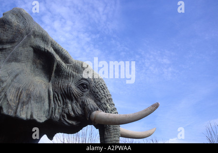 Dramatischen Blick auf Modell Elefant Kopf Colchester Zoo Essex England Stockfoto