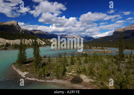 Saskatchewan River Crossing Icefields Parkway bei Mistaya Valley Nationalpark Banff Alberta Canada Stockfoto