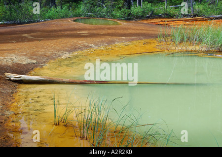 Zwei Ocker Farbe Topf Naturteichen in Kootenay National Park BC Kanada Stockfoto