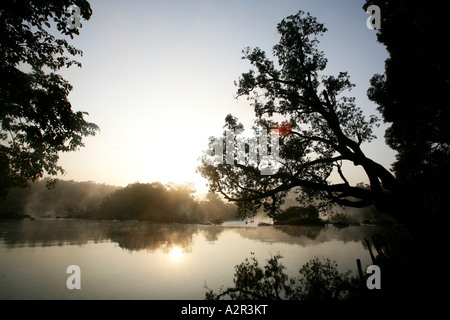 Bilder aus Indien der örtlichen Straßen und Farbe. Stockfoto