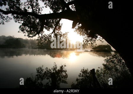 Bilder aus Indien der örtlichen Straßen und Farbe. Stockfoto