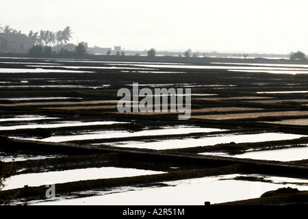 Bilder aus Indien der örtlichen Straßen und Farbe. Stockfoto