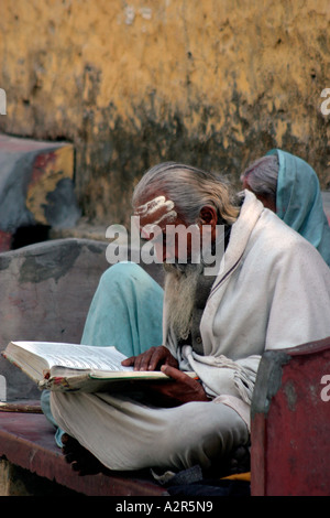 alten Saddhu lesen in rishikesh Stockfoto