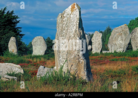 Menhir von Ausrichtung Kermario, Carnac, Bretagne, Frankreich Stockfoto