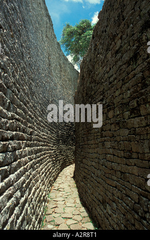 Die schmale parallele Passage zwischen hohen Mauern in die große Gehäuse, Great Zimbabwe National Monument, nr Masvingo, Simbabwe. Stockfoto