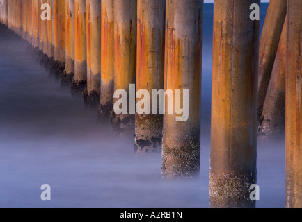Die Säulen von der Venice Pier Marina Del Rey Los Angeles County California Vereinigte Staaten von Amerika Stockfoto