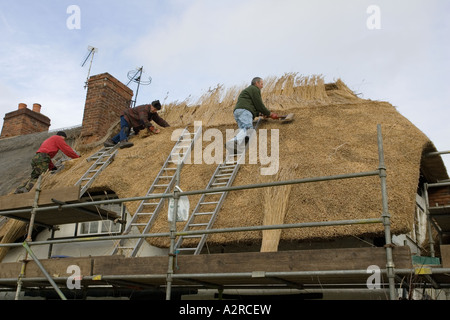 Ländliche Handwerker auf Dach thatching Hütte in der Nähe von Stratford UK Stockfoto