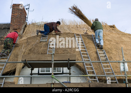 Ländliche Handwerker auf Dach thatching Hütte in der Nähe von Stratford UK Stockfoto