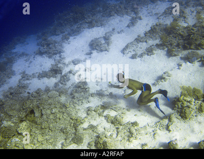 Schnorchler Schnorchler auf Boden flossen Schnorcheln Tauchen Brille Unterwasser Touristen Urlaub Sharm El Sheikh Ägypten RAS MOHAMED Stockfoto