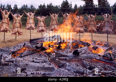 Saturna Island Lamm Grillen, südlichen Gulf Islands, BC, Britisch-Kolumbien, Kanada - jährliche Sommer-Grill an offener Feuerstelle Stockfoto