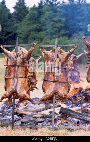 Saturna Island Lamm Grillen, südlichen Gulf Islands, BC, Britisch-Kolumbien, Kanada - jährliche Sommer-Grill an offener Feuerstelle Stockfoto