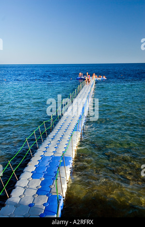 Schwimmen Plattform base Taucher Hausriff Haus Riff Riff Sharm El Sheikh Ägypten Om El Sid Plateau Stockfoto