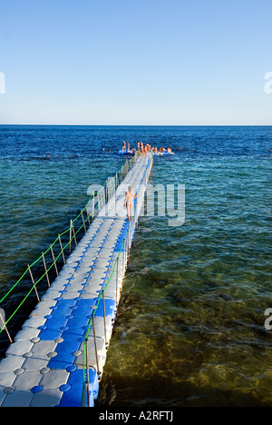 Schwimmen Plattform base Taucher Hausriff Haus Riff Riff Sharm El Sheikh Ägypten Om El Sid Plateau Stockfoto