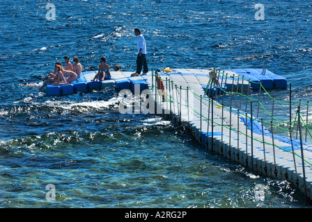 Schwimmen Plattform base Taucher Hausriff Haus Riff Riff Sharm El Sheikh Ägypten Om El Sid Plateau Stockfoto