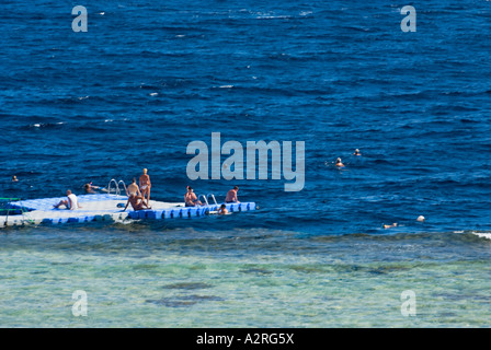 Schwimmen Plattform base Taucher Hausriff Haus Riff Riff Sharm El Sheikh Ägypten Om El Sid Plateau Menschen Touristen Gäste Stockfoto