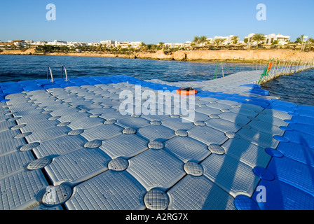 Schwimmen Plattform base Taucher Hausriff Haus Riff Riff Sharm El Sheikh Ägypten Om El Sid Plateau Stockfoto