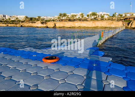 Schwimmen Plattform base Taucher Hausriff Haus Riff Riff Sharm El Sheikh Ägypten Om El Sid Plateau Stockfoto