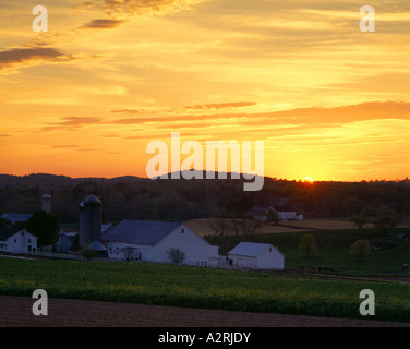 SONNENUNTERGANG AUF AMISCHE MOLKEREI / PENNSYLVANIA Stockfoto