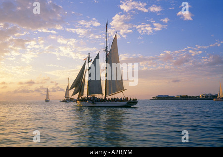 SONNENUNTERGANG MIT SEGELBOOTEN / KEY WEST, FLORIDA Stockfoto