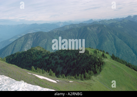 Blick auf den Selkirk Mountains und Nadelwälder aus Idaho Peak in der Kootenay Region British Columbia Kanada Stockfoto