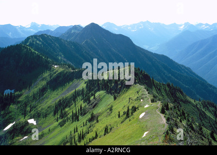 Blick auf den Selkirk Mountains und Nadelwälder aus Idaho Peak in der Kootenay Region British Columbia Kanada Stockfoto