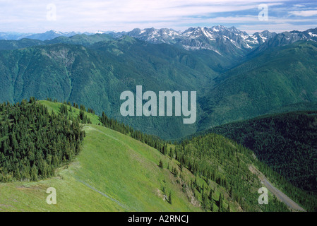 Blick auf den Selkirk Mountains und Nadelwälder aus Idaho Peak in der Kootenay Region British Columbia Kanada Stockfoto