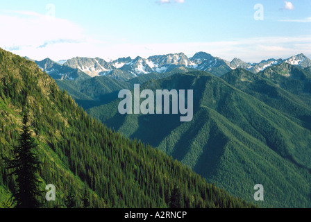 Blick auf den Selkirk Mountains und Nadelwälder aus Idaho Peak in der Kootenay Region British Columbia Kanada Stockfoto