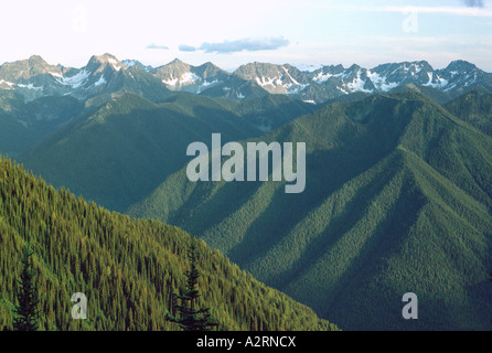 Blick auf den Selkirk Mountains und Nadelwälder aus Idaho Peak in der Kootenay Region British Columbia Kanada Stockfoto